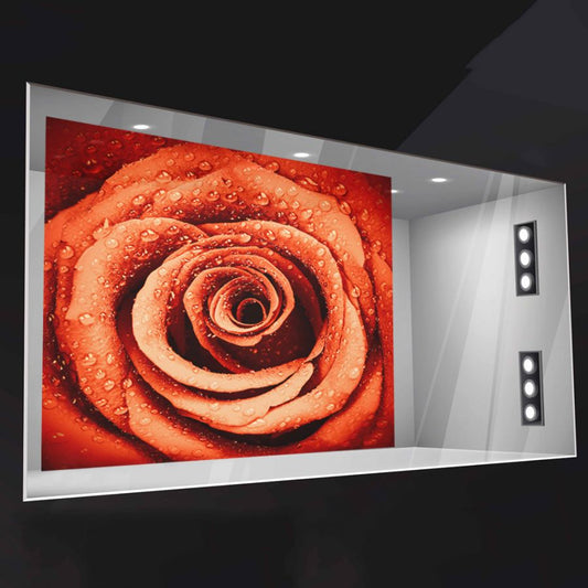 Vinilo adhesivo clásico